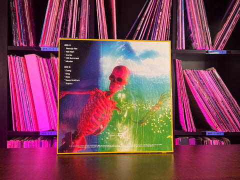 Rainbow Kitten Surprise - bones (Black Vinyl)