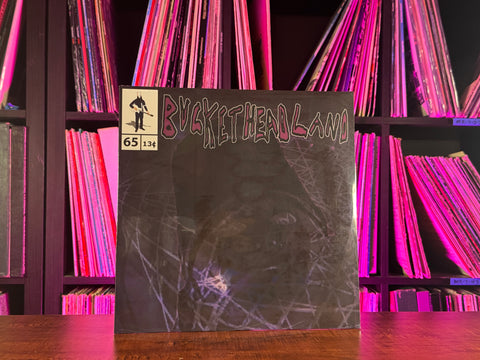 Buckethead - Hold Me Forever (In memory of my mom Nancy York Carroll)