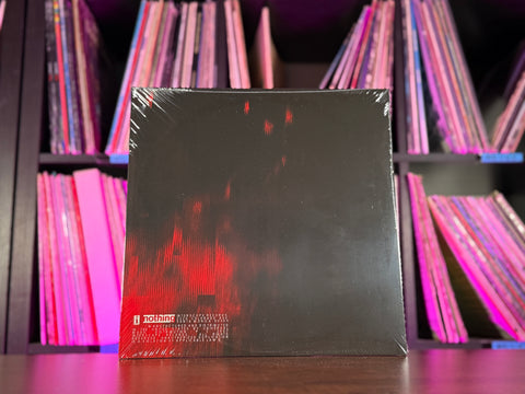 Nine Inch Nails - Live: Besides You In Time
