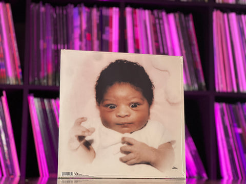 The Butthole Surfers - Locust Abortion Technician