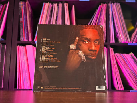 Polo G - Hall Of Fame (RSD Exclusive Gilded Smoke Vinyl) (RSD26)(LIMIT OF 1)