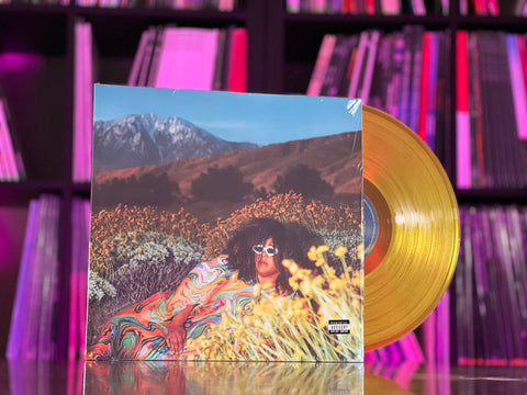Brittany Howard - What Now