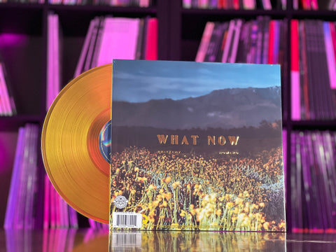Brittany Howard - What Now