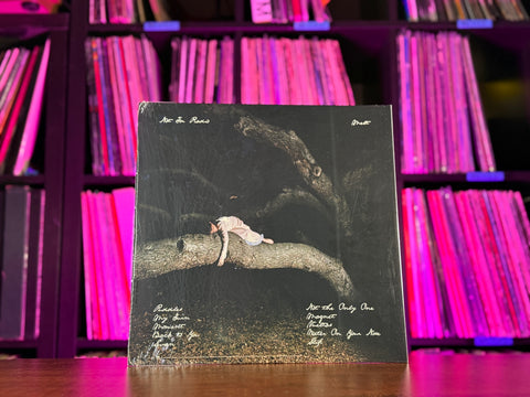 Not For Radio - Melt (Indie Exclusive Translucent Wood Vinyl)