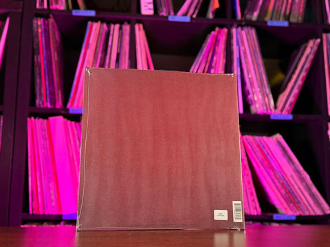 Daniel Caesar - Son Of Spergy