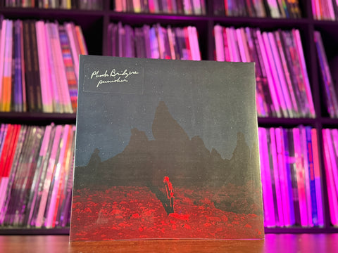 Phoebe Bridgers - Punisher