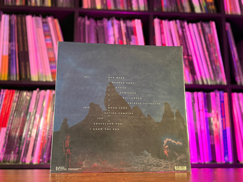 Phoebe Bridgers - Punisher