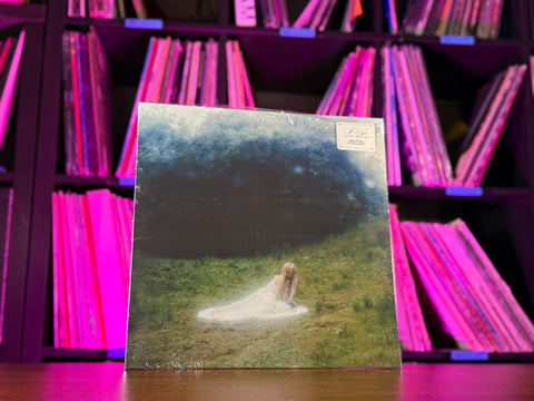 WISP - If Not Winter