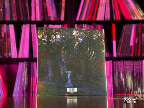 Wolf Alice - Visions of A Life