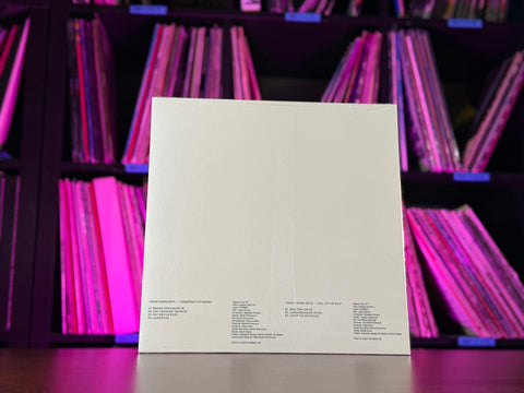 Viagra Boys - Consistency of Energy/Call of The Wild