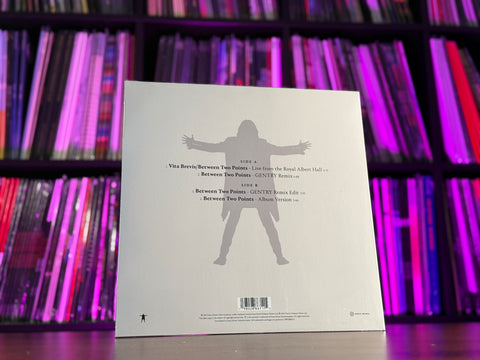 David Gilmour w/ Romany Gilmour - Between Two Points (Crystal Clear Vinyl)(RSD25) (LIMIT OF 1)