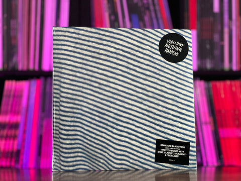 Wallows - Nothing Happens