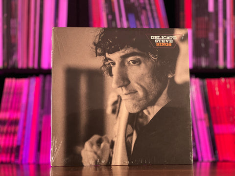 Delicate Steve - Delicate Steve Sings