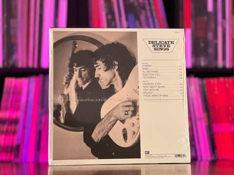 Delicate Steve - Delicate Steve Sings