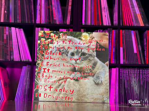 Dana & Alden - Quiet Music For Young People