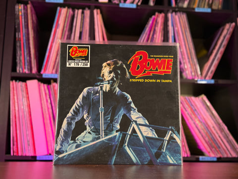 David Bowie - Stripped Down in Tampa