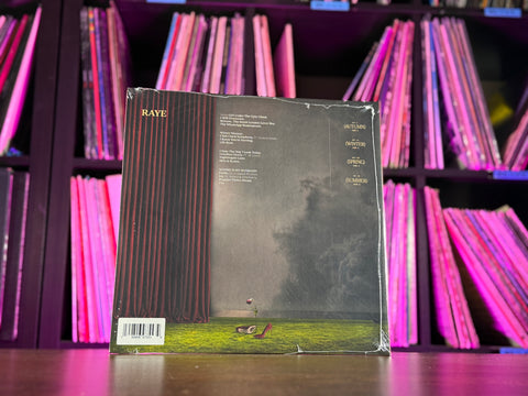 Raye - This Music May Contain Hope (Indie Exclusive Mint Green Vinyl)