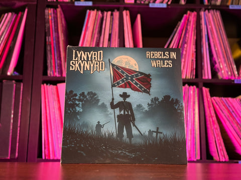 Lynyrd Skynyrd - Rebels In Wales