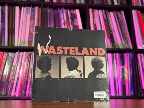 Brent Faiyaz - Wasteland (RSD Essentials 2xLP Black Vinyl)