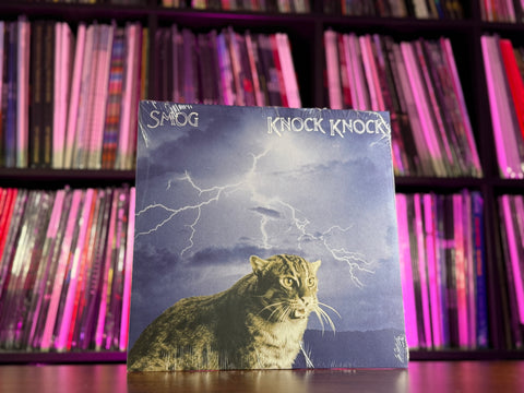 Smog - Knock Knock