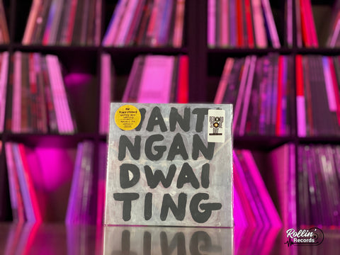 The Black Crowes - Wanting & Waiting (RSD24) (LIMIT OF 1)