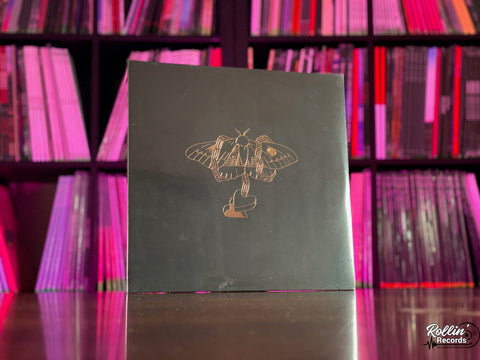 David Gray - Gold in a Brass Age