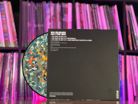 Noel Gallagher's High Flying Birds - She Taught Me How To Fly (12" Picture Disc)