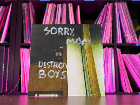 Destroy Boys - Sorry, Mom