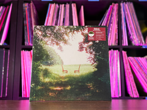 Ratboys - Singin' To An Empty Chair (Indie Exclusive Green & Brown Vinyl)