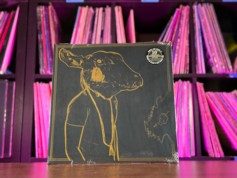 Shakey Graves - Roll The Bones X