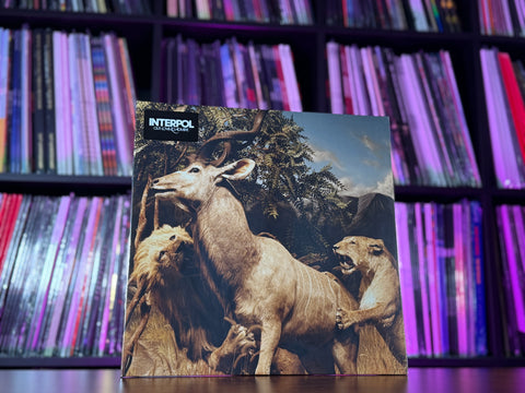 Interpol - Our Love To Admire