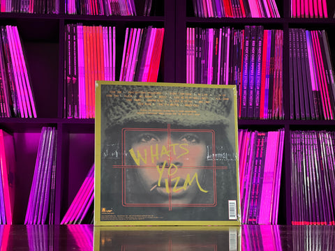 Erykah Badu - Mama's Gun