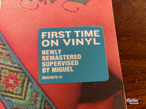 Sublime - Stand By Your Van Live