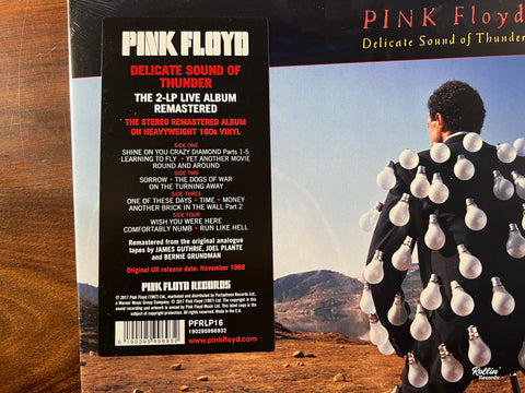 Pink Floyd - Delicate Sound of Thunder