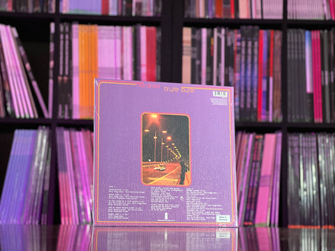 Nick Drake - Bryter Layter