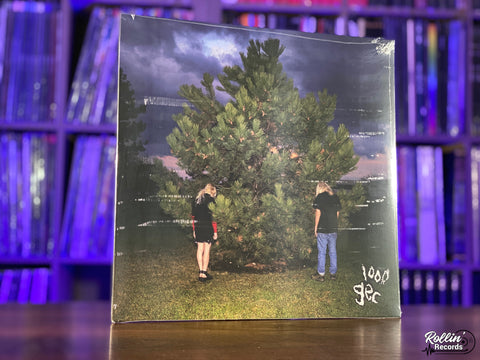 100 Gecs - 1000 Gecs