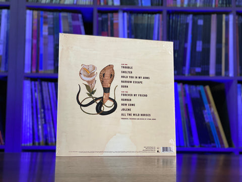 Ray LaMontagne - Trouble