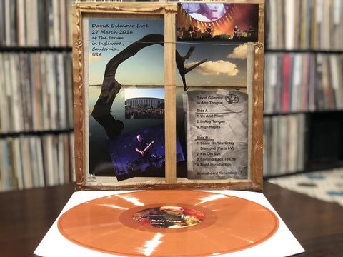 David Gilmour – In Any Tongue