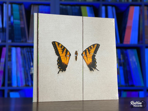 Paramore - Brand New Eyes