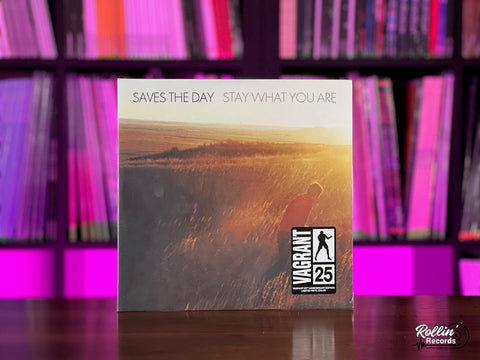 Saves The Day - Stay What You Are (Brown Vinyl)(2 x 10")