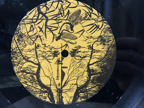 Kiss - Destroys Anaheim