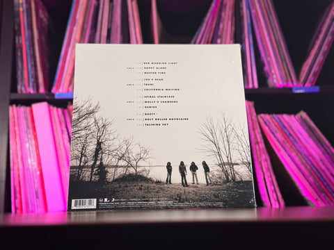 Kings of Leon - Youth and Young Manhood