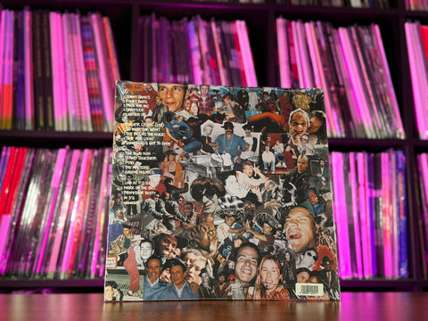 Beastie Boys - Check Your Head