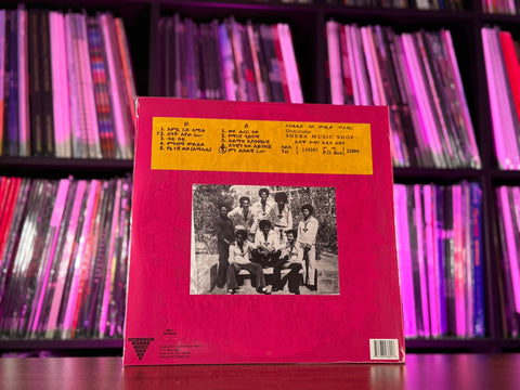 Hailu Mergia - Wede Harer Guzo