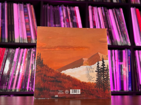 Weezer - Everything Will Be Alright In The End