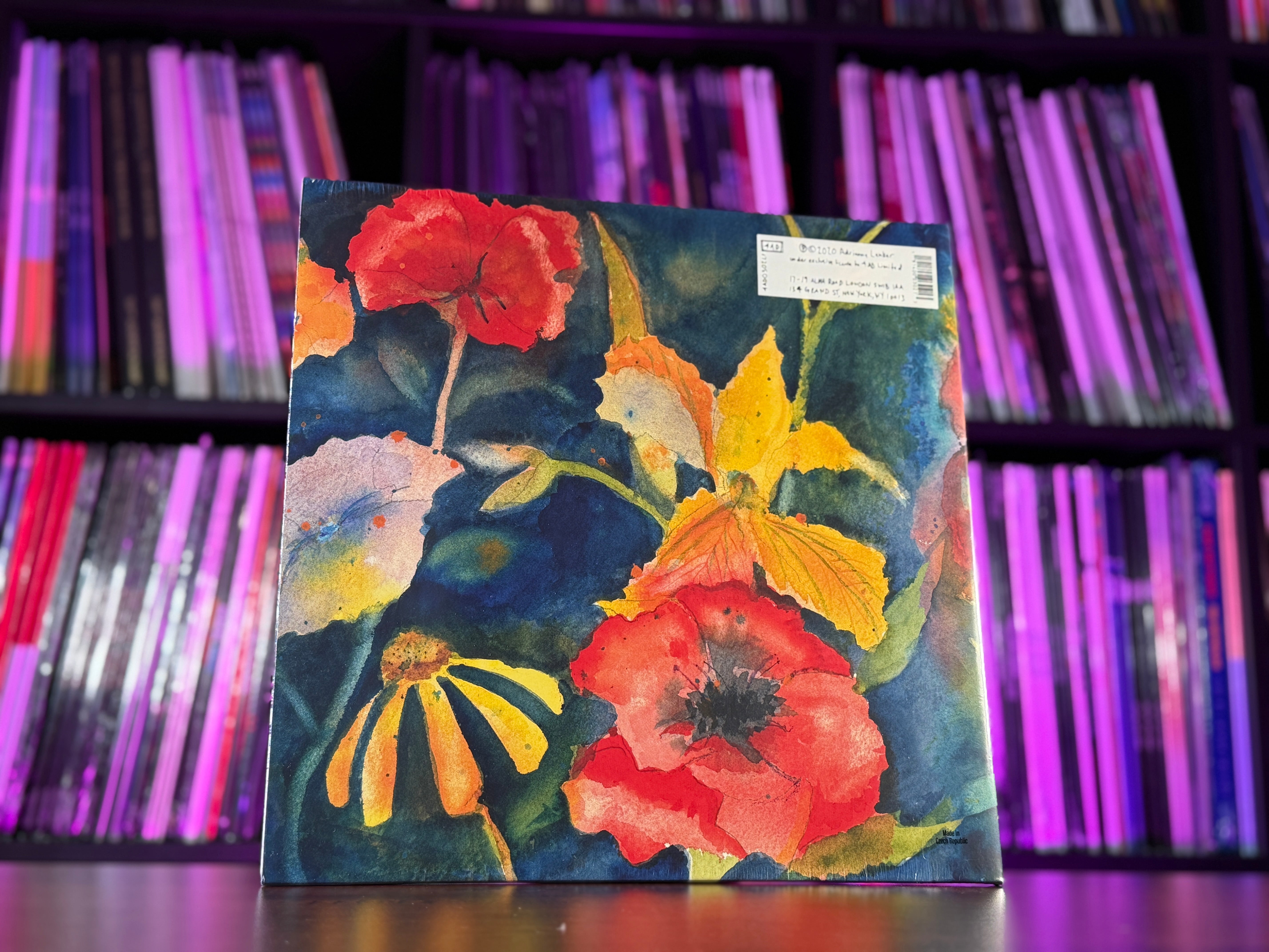 Adrianne Lenker - Songs and Instrumentals – Rollin' Records