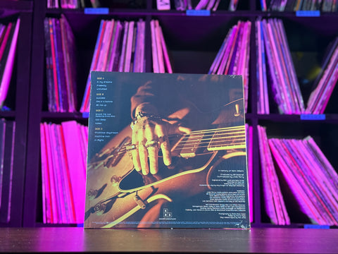 Linda Perry -  In Flight (RSDBF25 Black Ice Vinyl) (LIMIT OF 1)