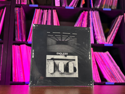 Frank Ocean - Endless (Alt Cover)