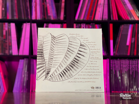 Mary Timony -  Mountains