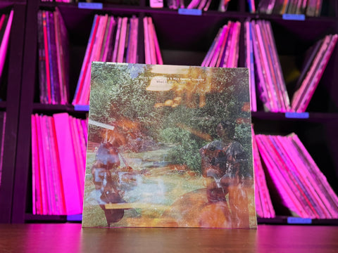 Haley Heynderickx - What of Our Nature